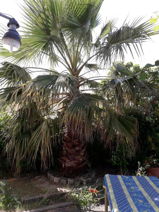 Rez De Chaussee Studio Climatise Dans Villa Aigues-Mortes Eksteriør bilde